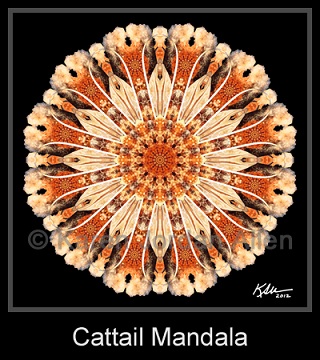 Cattail Mandala