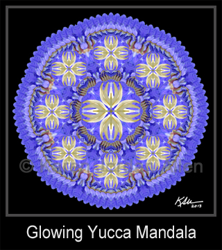 Glowing Yucca Mandala