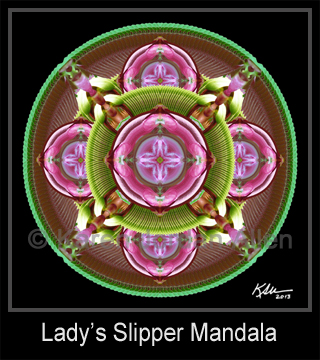 Lady's Slipper Mandala