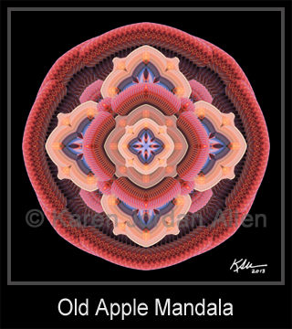 Old Apple Mandala
